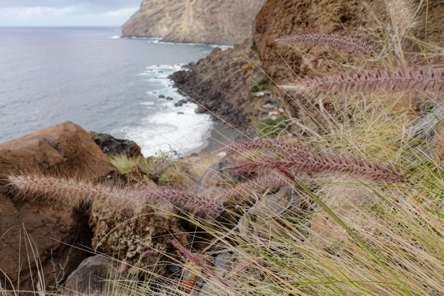 playa de la veta