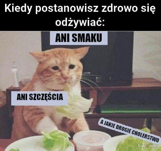 mem zdrowa dieta